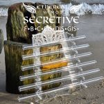 SECRETIVE F - HARFA KRYSZTAŁOWA -Light crystal harp F5, B5, C6, C#6, D#6, G#6 ( 6 nut )